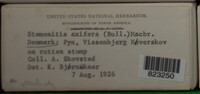 Image Associated With the Occurence